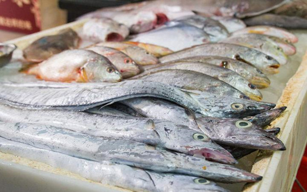 水產品藥物殘留檢測儀 水產品藥物殘留檢測儀